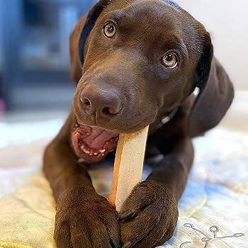 Himalayan Yak Cheese Chews