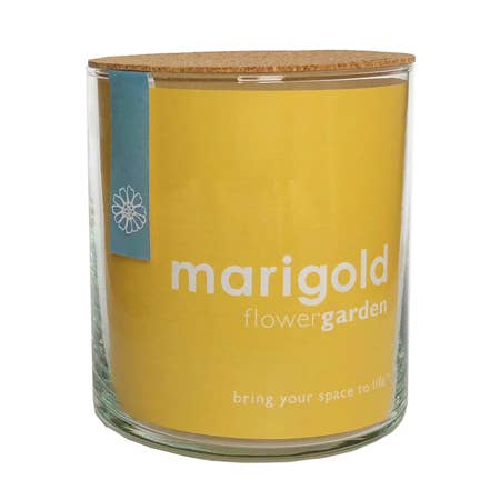 Indoor Flower Garden | Marigold