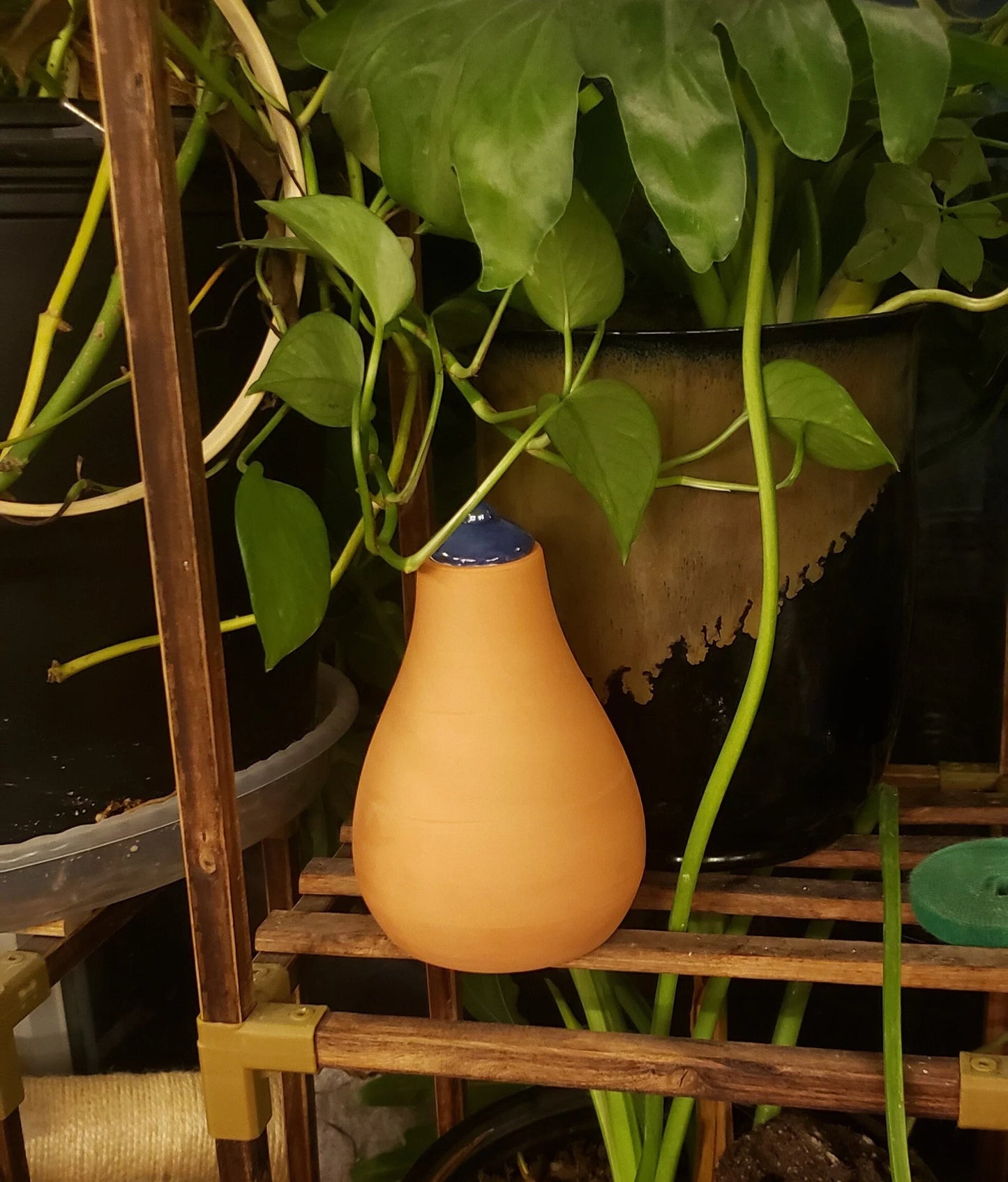 Garden Olla