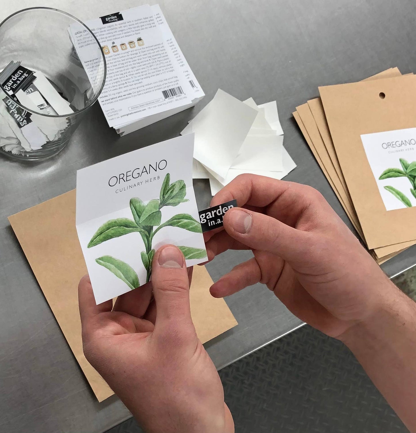 Garden in a Bag | Italian Parsley