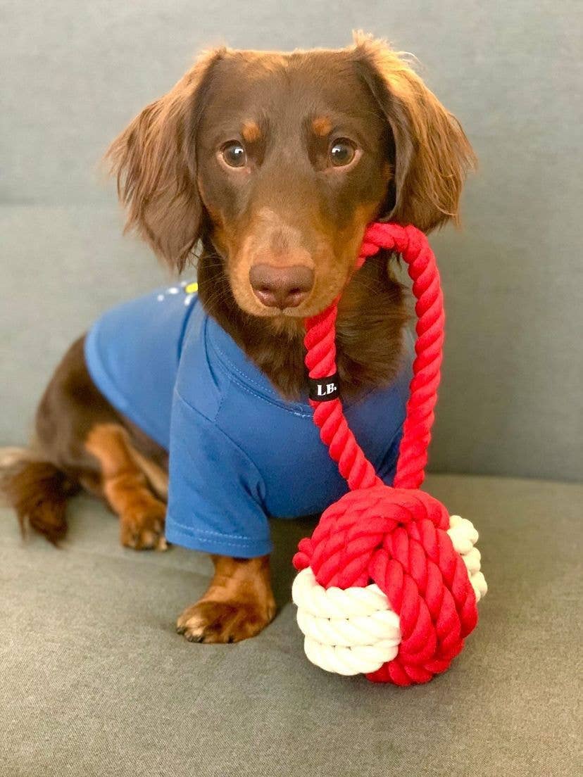 What-a-Tug Dog Toy