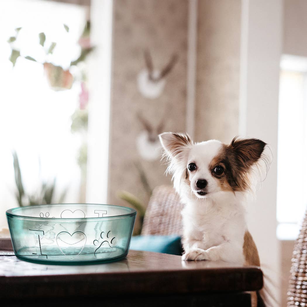 Toby Recycled Glass Bowl 9" Diameter