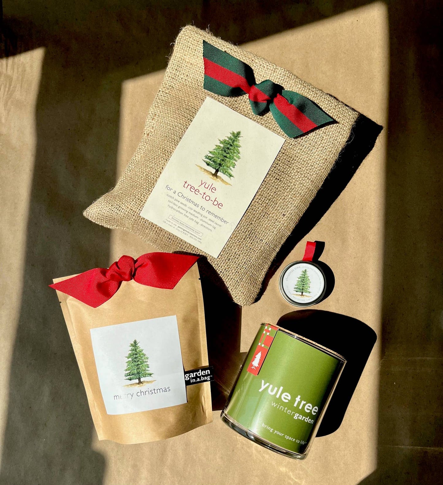 Kids Garden in a Bag | Christmas Tree
