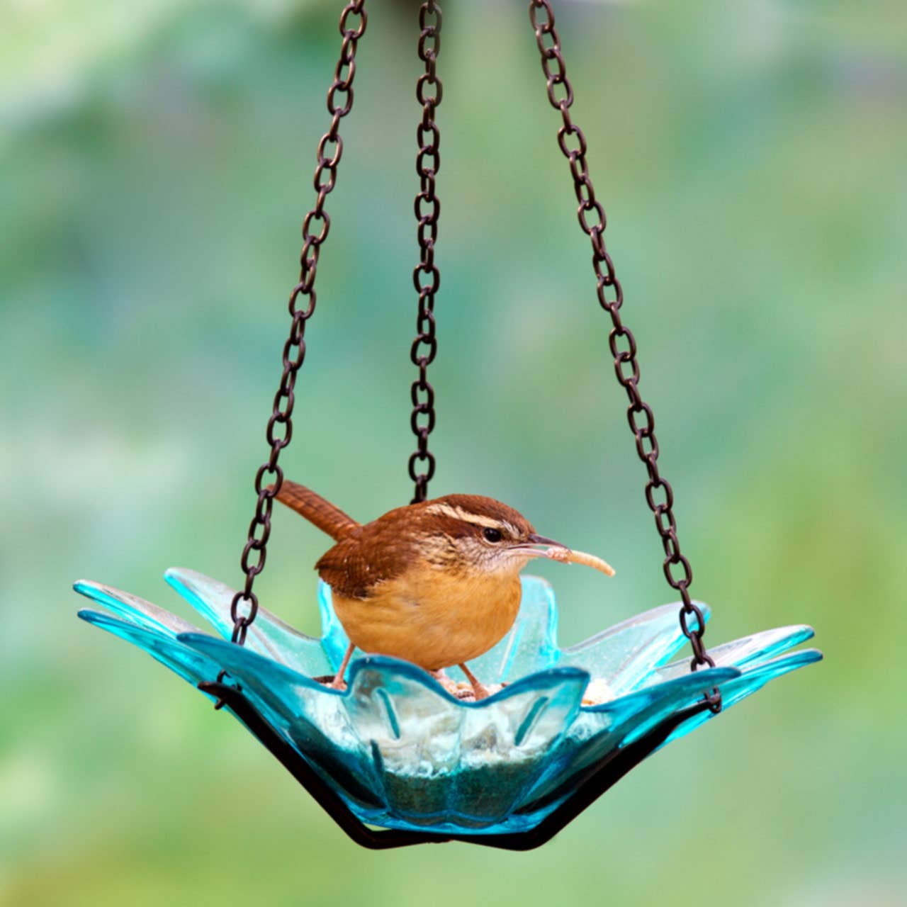 Mosaic Birds Daisy Petite Bird Feeder Aqua