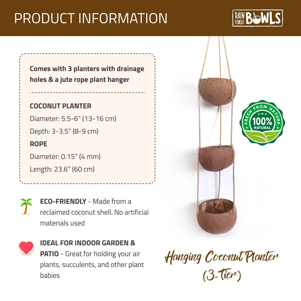 Hanging Three-Coconut Planter