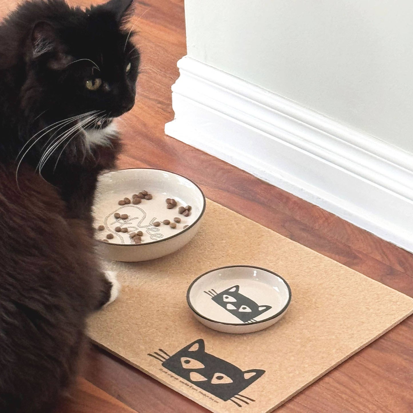 Cat sitting on a mat with a bowl of food and a small dish on a wooden floor.