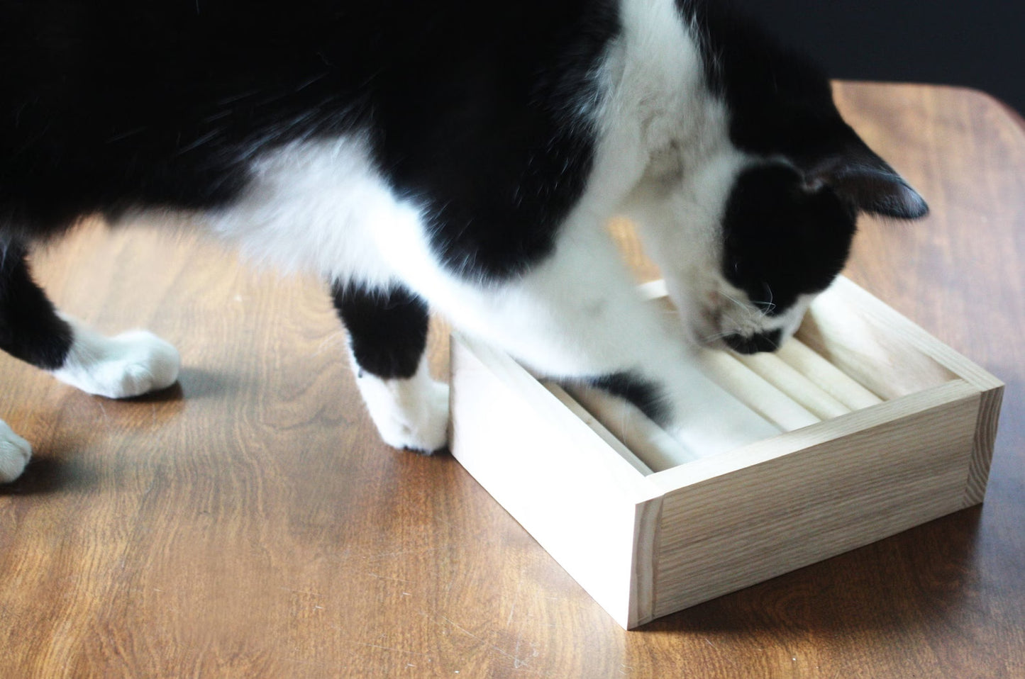 Cat Treat Puzzle