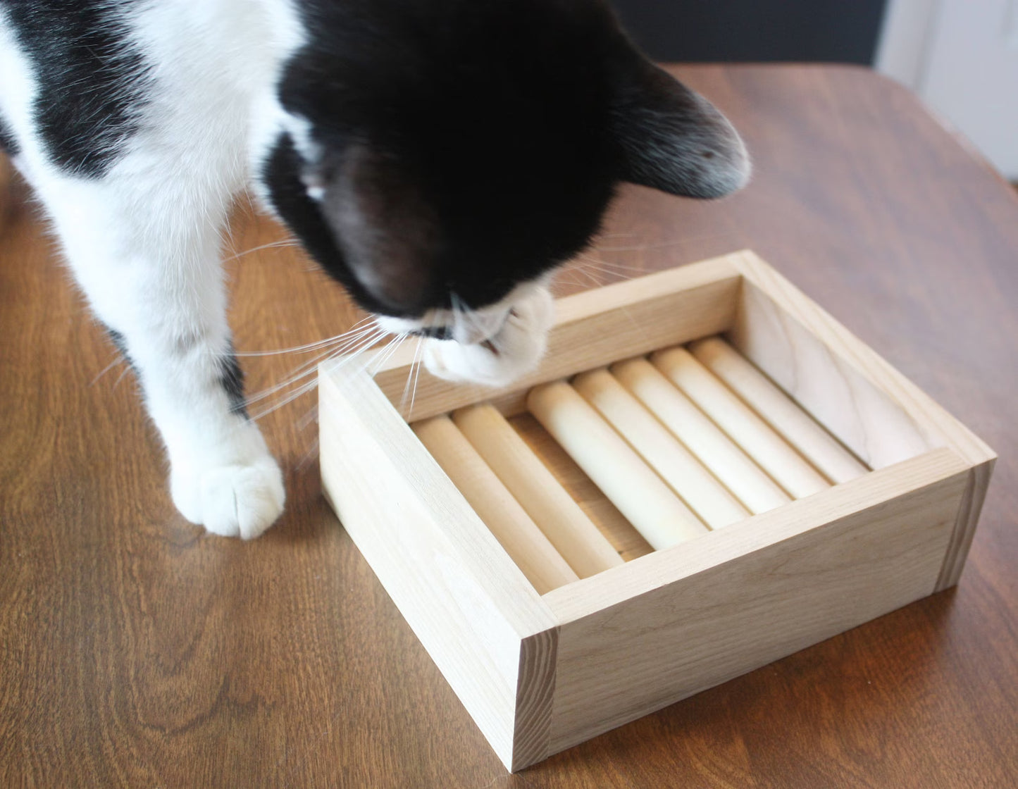 Cat Treat Puzzle