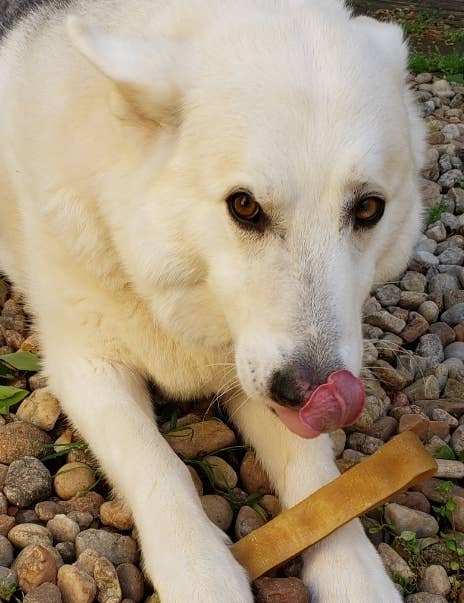 Himalayan Yak Cheese Chews