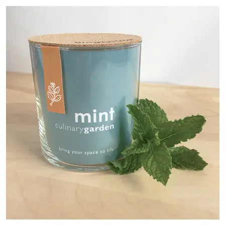 Indoor Culinary Garden | Mint