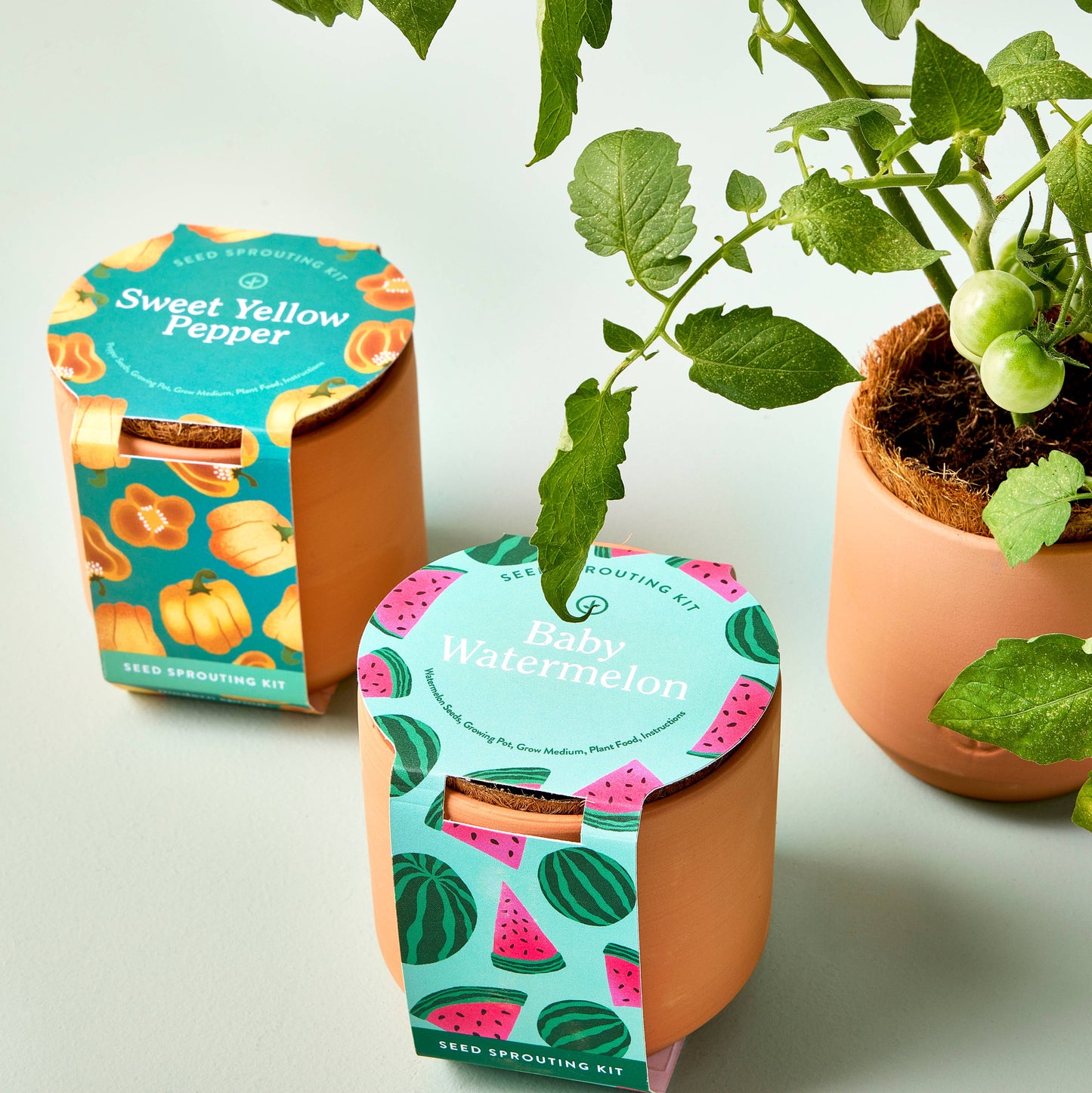 Terracotta Grow Kits