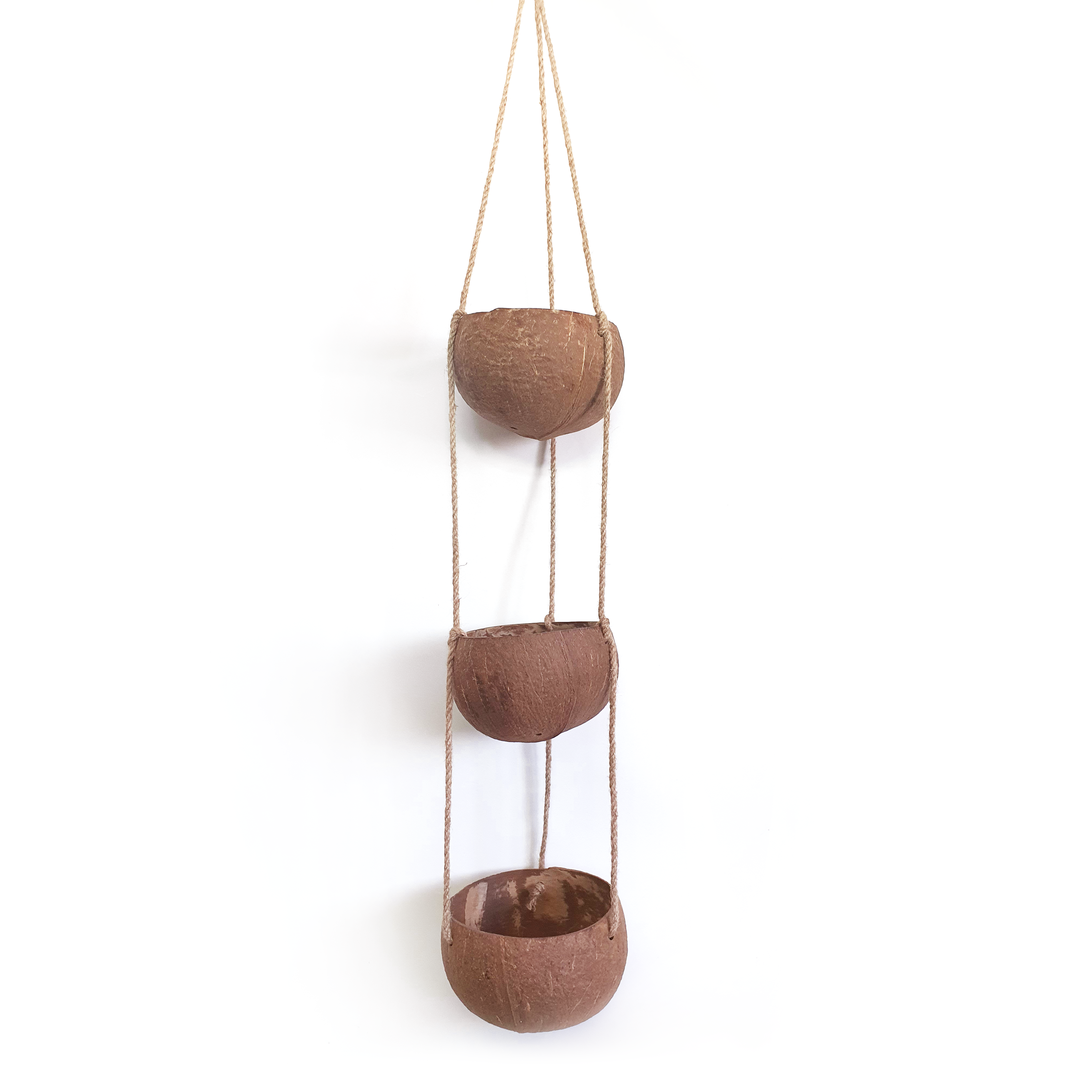 hanging shell planter Shop Natural Sustainable Hanging Planters – Earth Kind Market