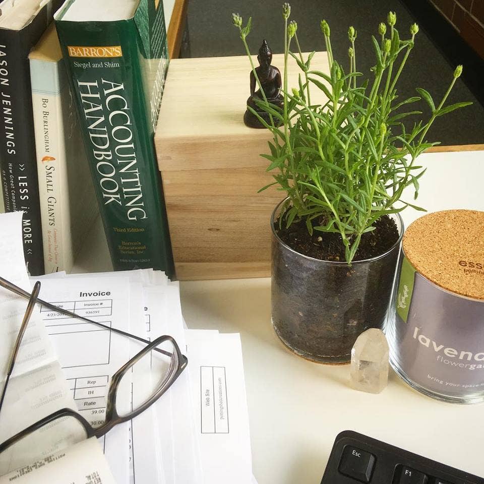 Indoor Flower Garden | Lavender