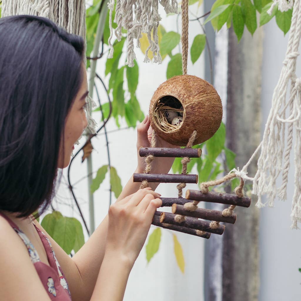 Coconut Birdhouse