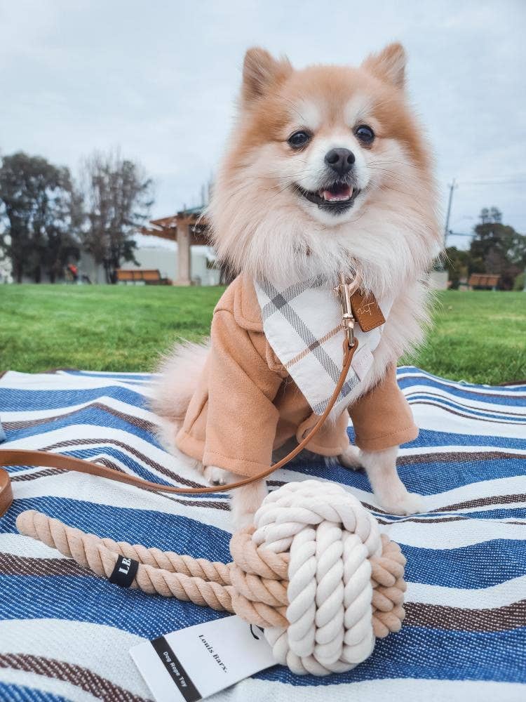 What-a-Tug Dog Toy