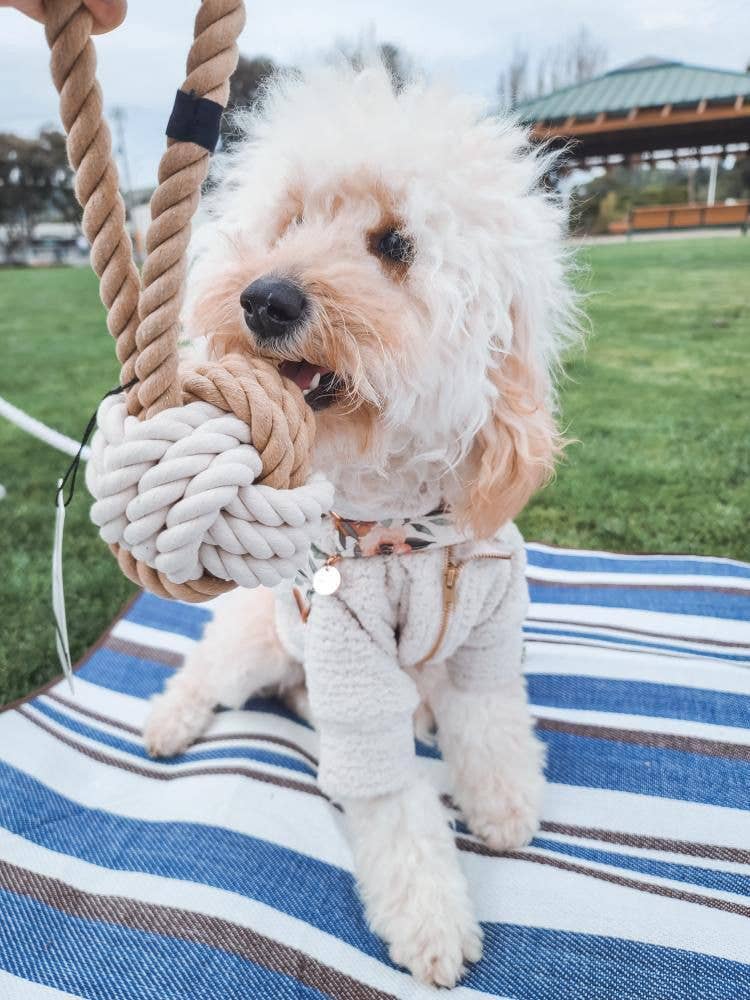What-a-Tug Dog Toy