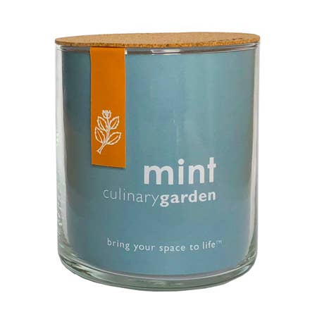 Indoor Culinary Garden | Mint