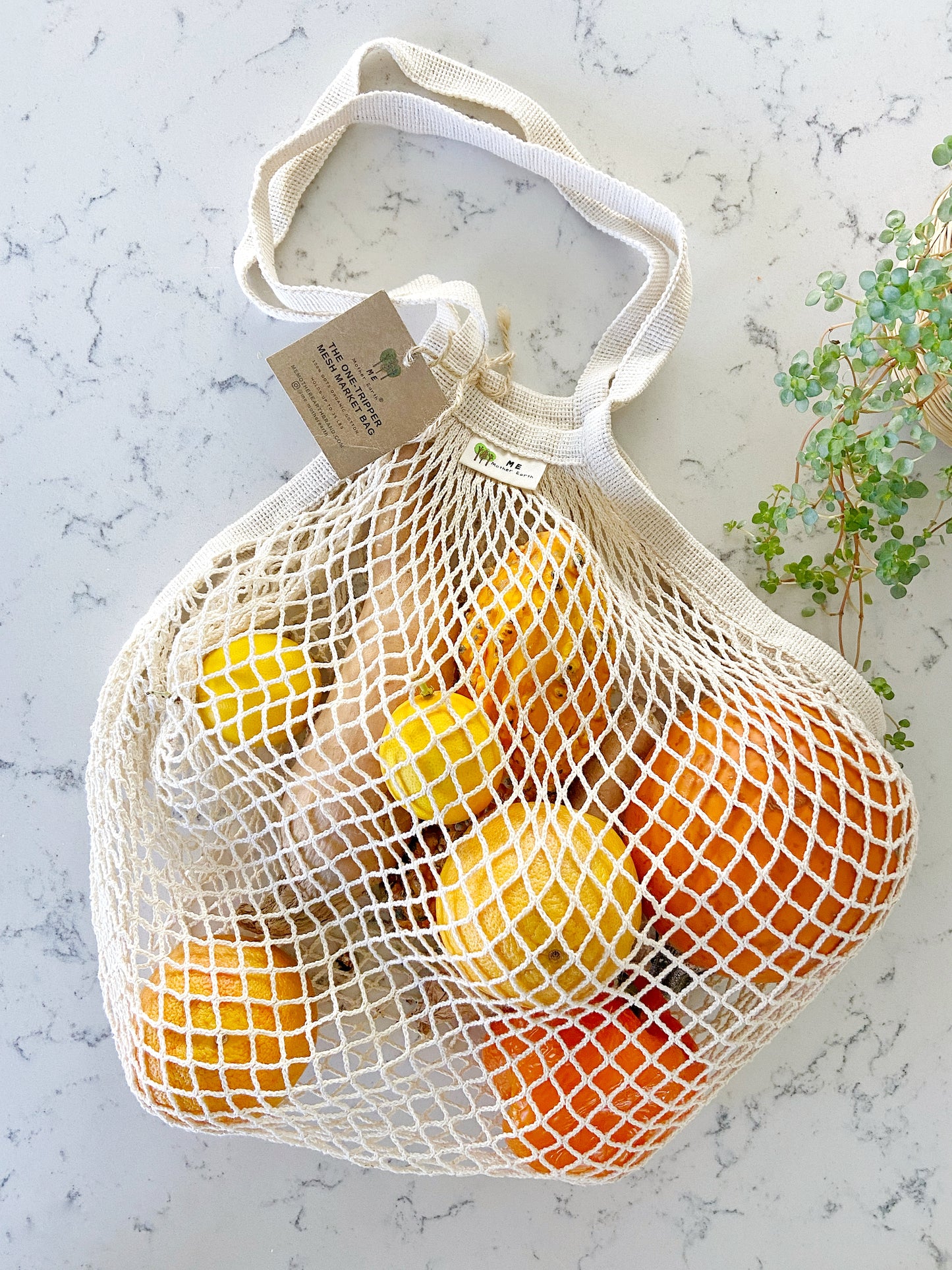 Farmer's Market Bag