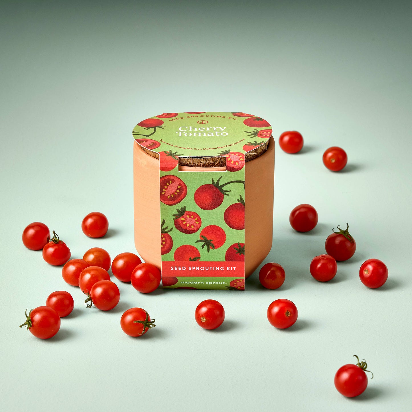 Terracotta Grow Kits