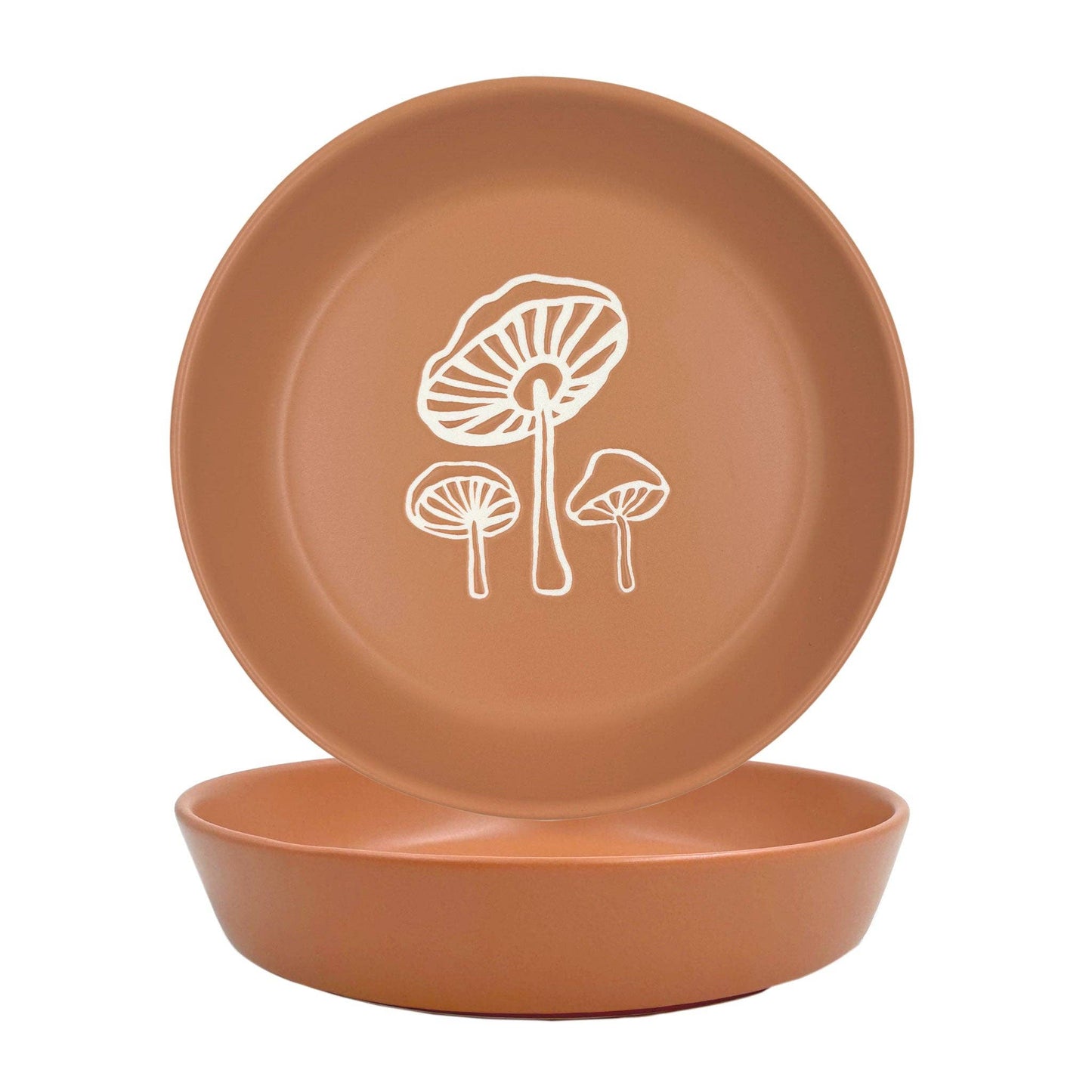 Pet Bowl | Mushrooms