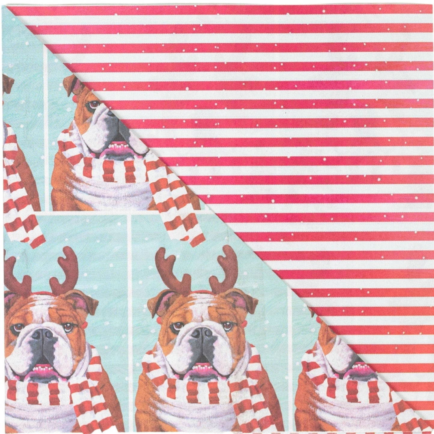 Cozy Bulldog Wrapping Paper