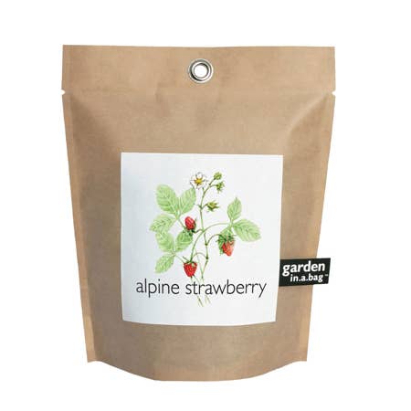 Garden in a Bag | Strawberry