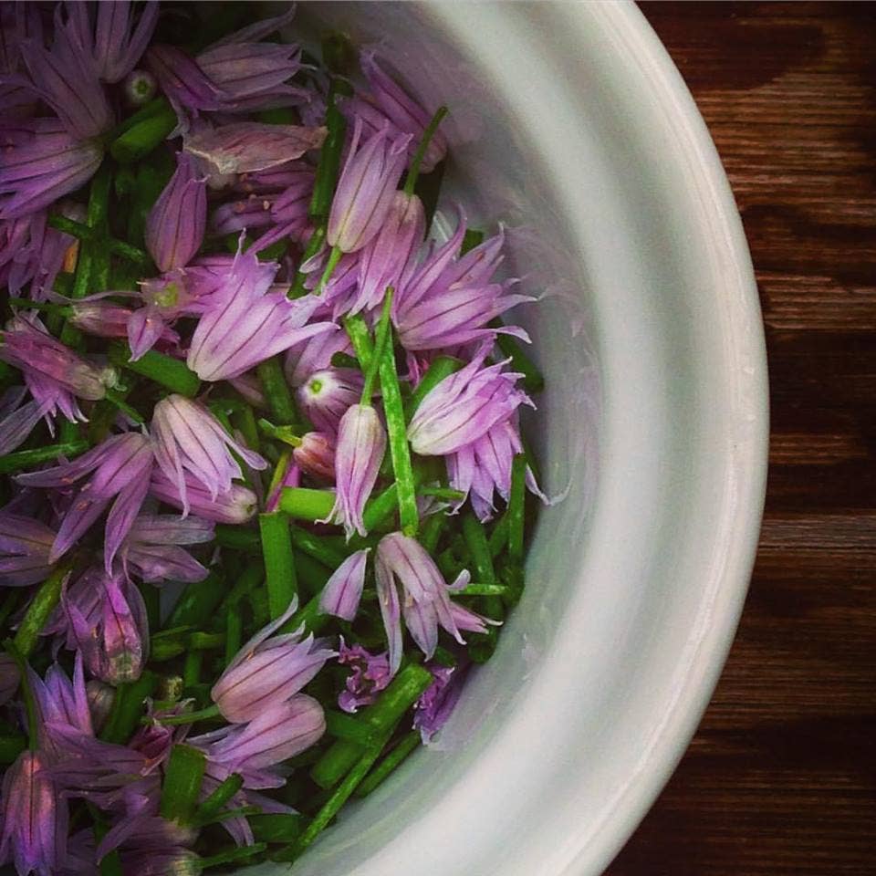 Garden in a Bag | Chives