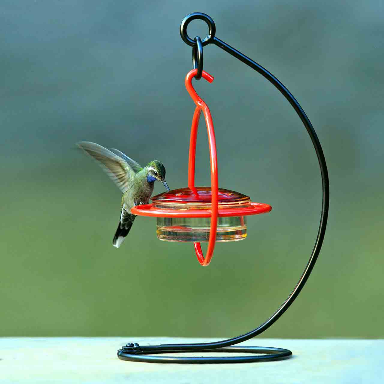 Mosaic Birds Hummble Easy Hook Tabletop Stand