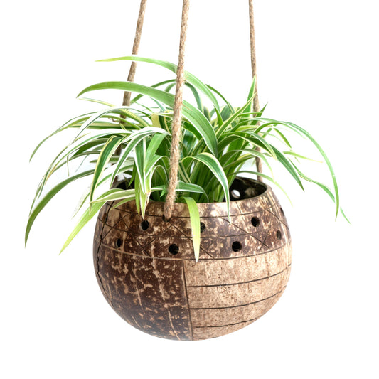 Hanging Stripes Coconut Planter