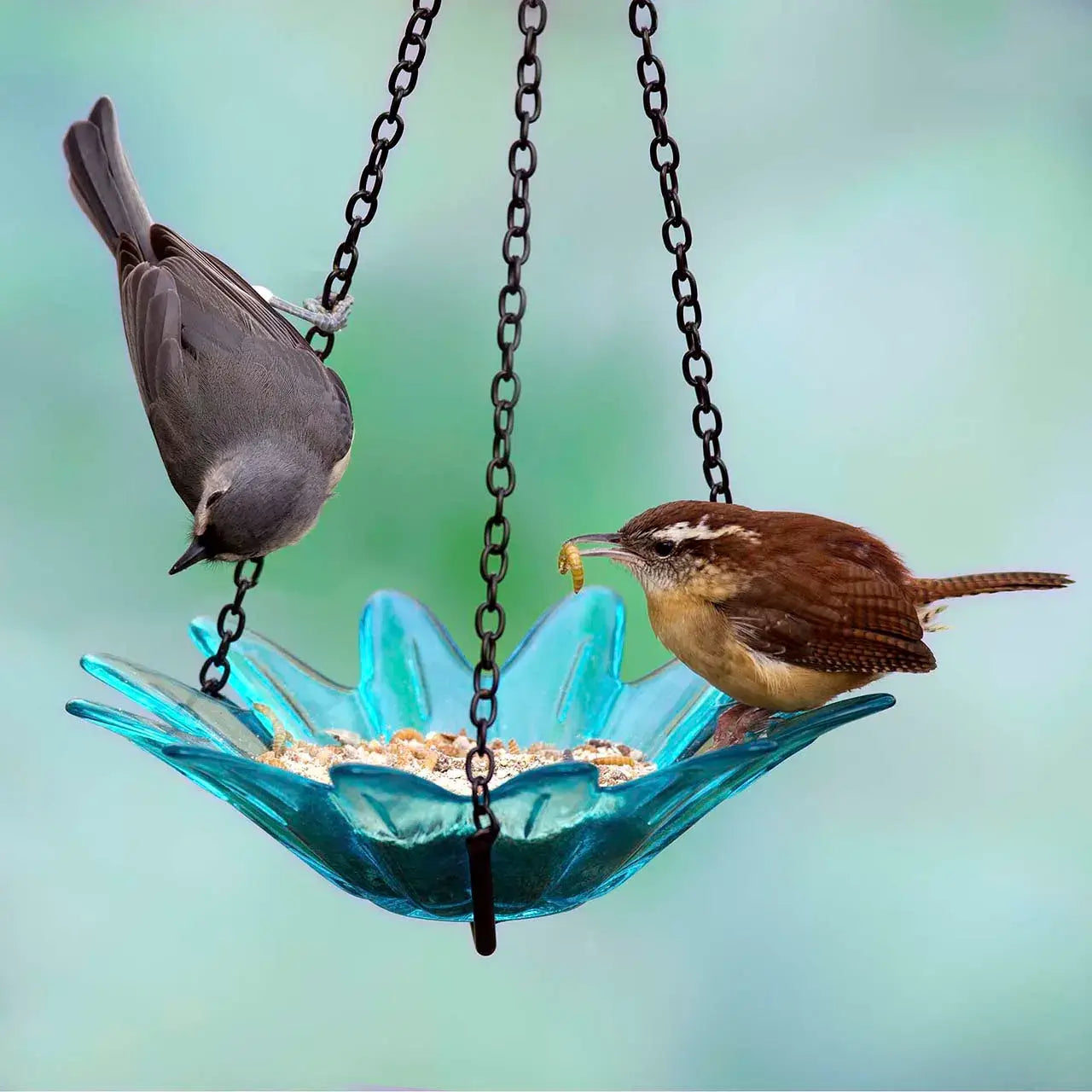 Mosaic Birds Daisy Petite Bird Feeder Aqua