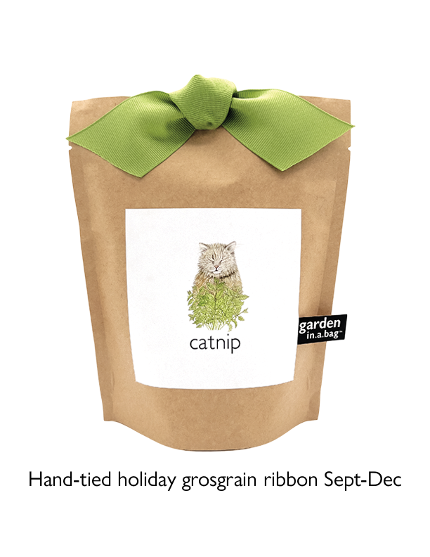 Catnip Garden in a Bag