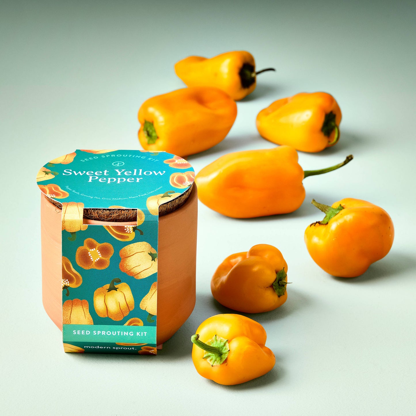 Terracotta Grow Kits