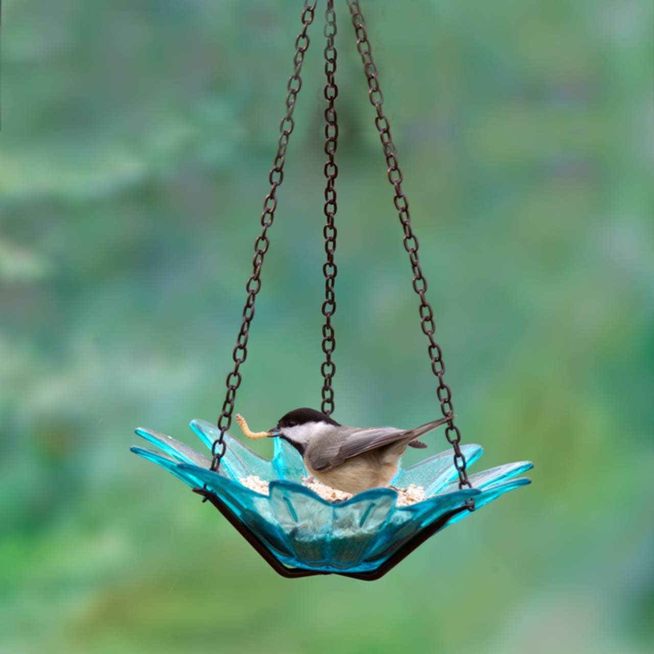 Mosaic Birds Daisy Petite Bird Feeder Aqua