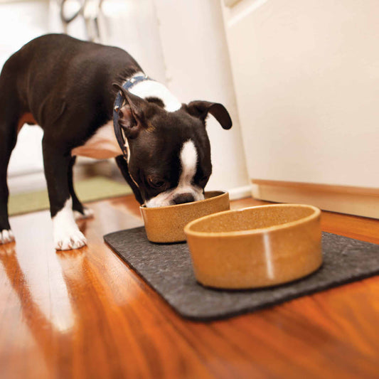 Recycled Rubber Pet Placemat