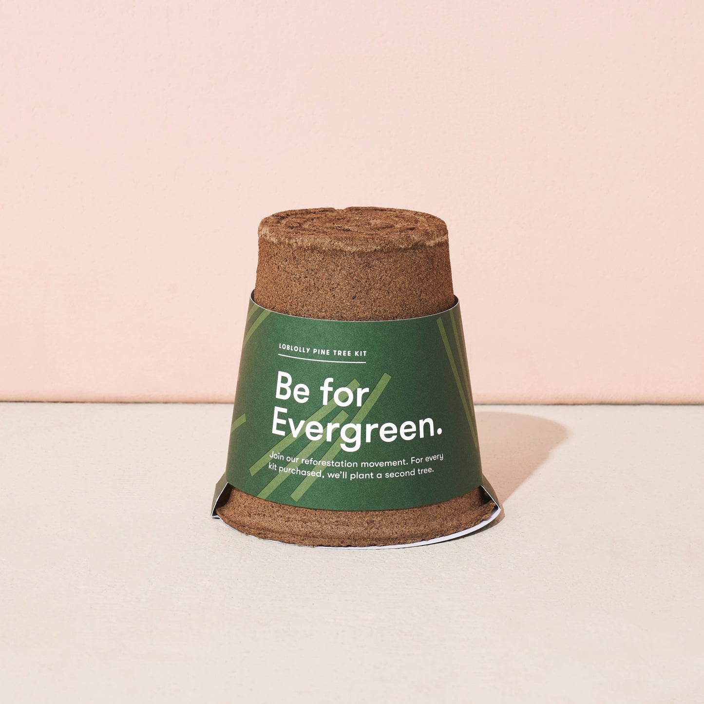 Tree Grow Kit