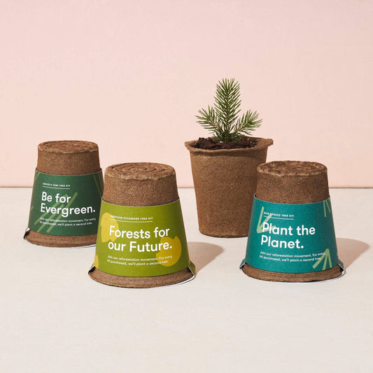 Tree Grow Kit