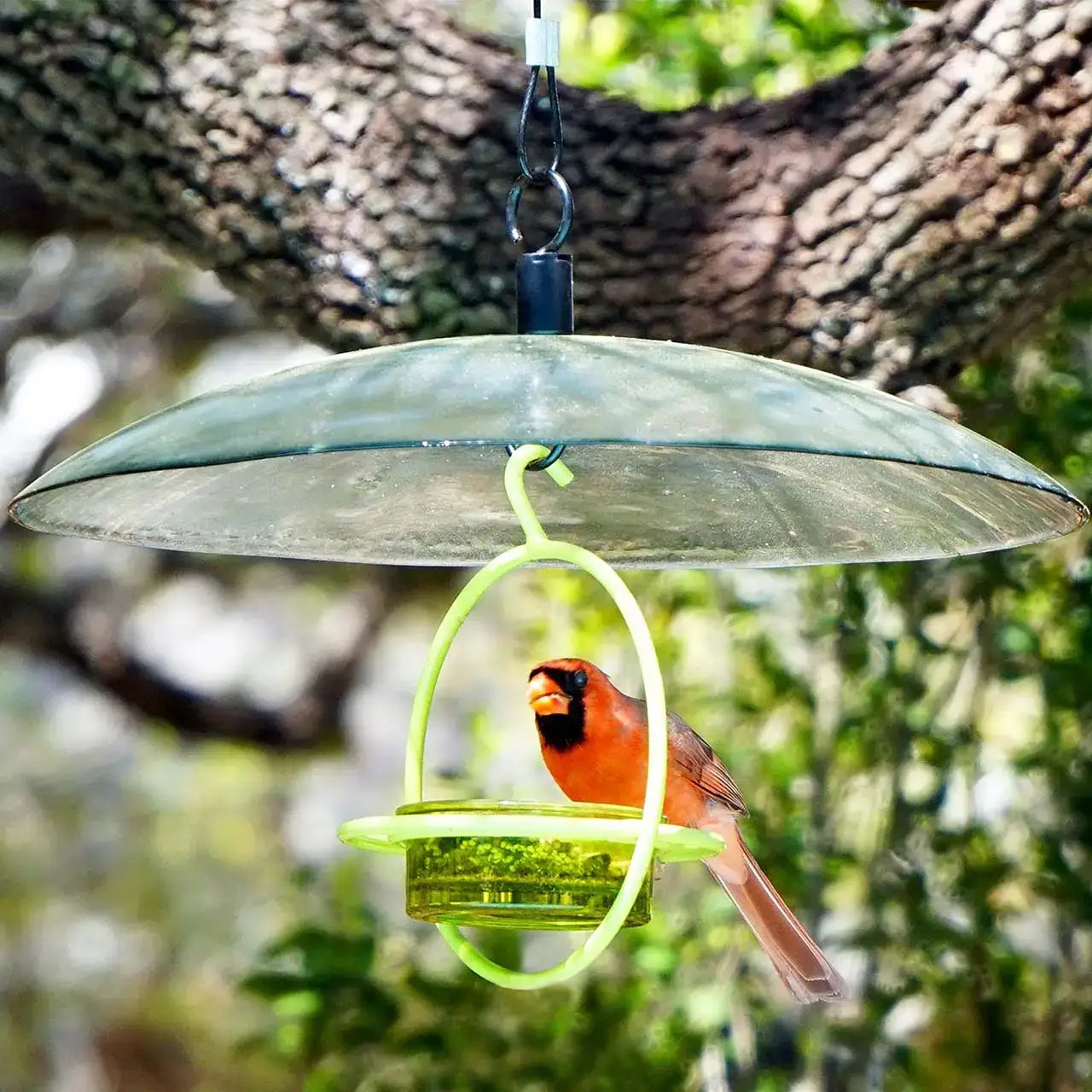 Mosaic Birds Easy Hook Hanging Steel Cable