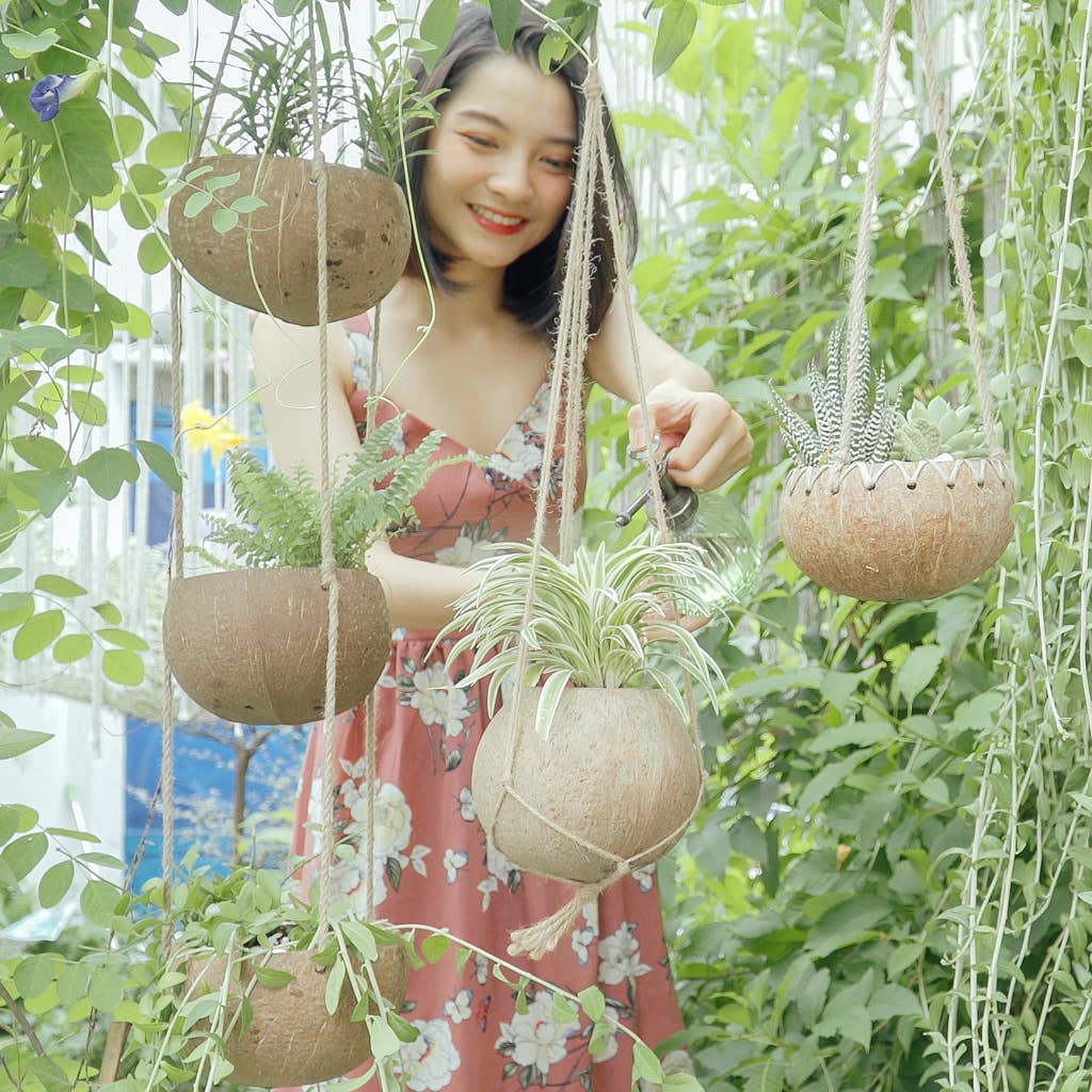 hanging coconut planter Shop Natural Sustainable Hanging Planters – Earth Kind Market