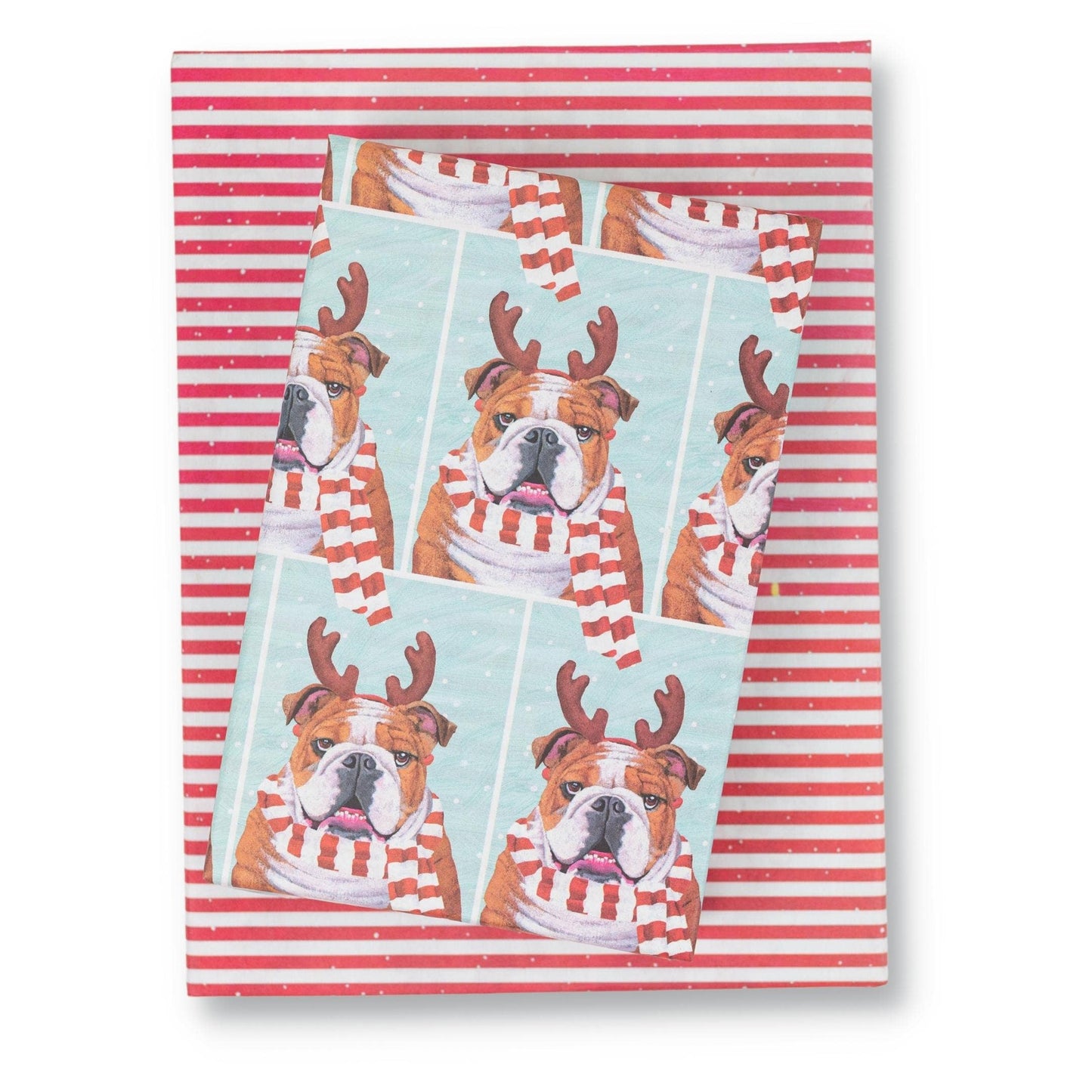 Cozy Bulldog Wrapping Paper