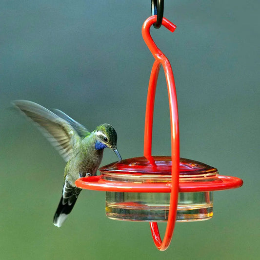 Mosaic Birds Hummble Bold Hummingbird Feeder Red