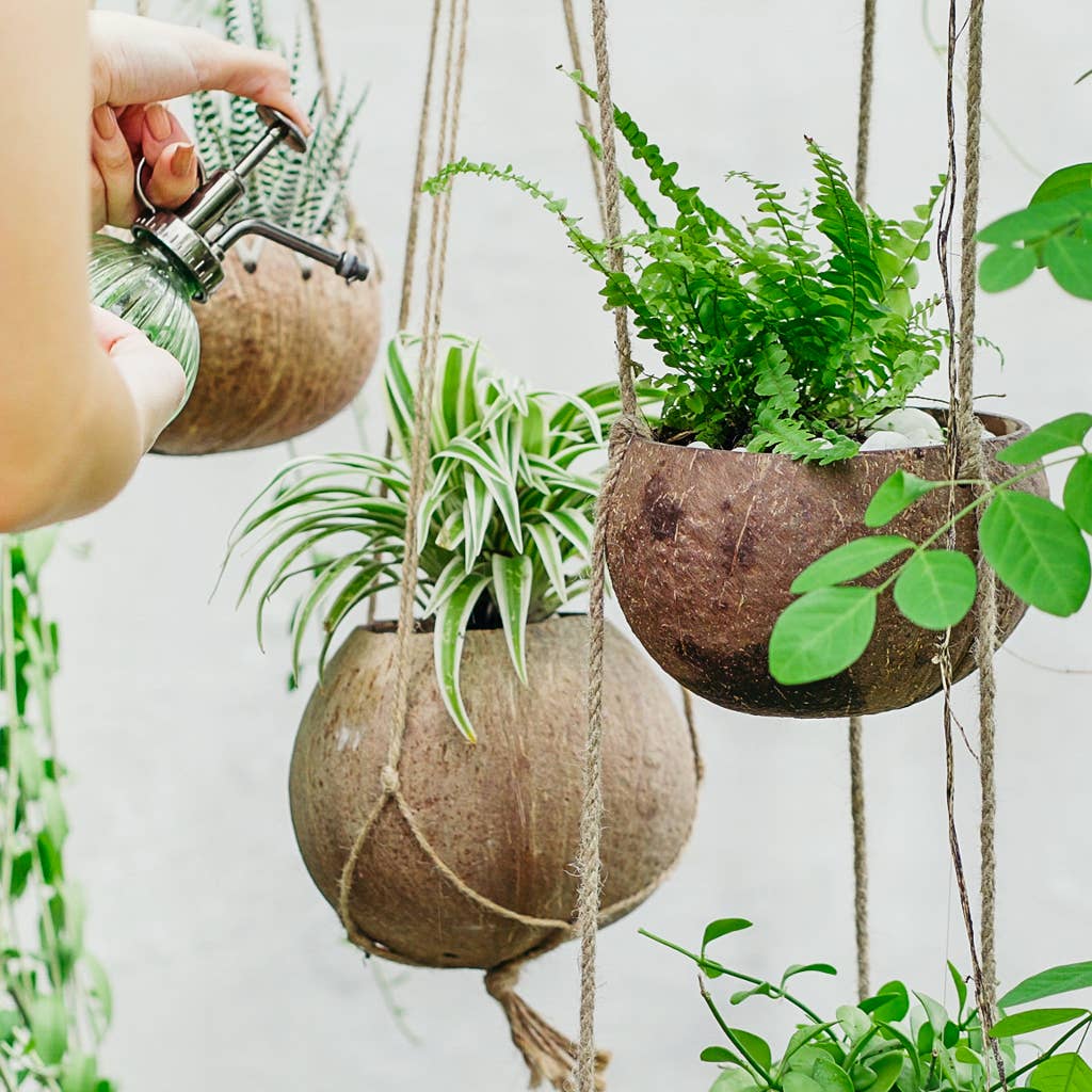 Hanging Single Coconut Planter