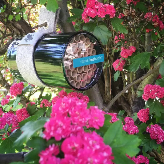 Bee Bottle in Garden