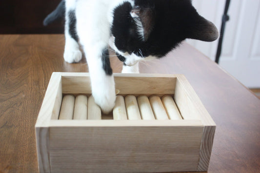 Cat Treat Puzzle