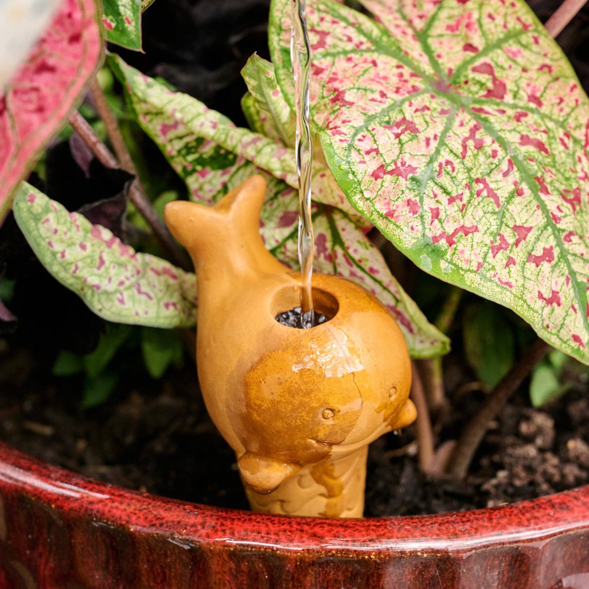 Terracotta whale-shaped olla being filled with water in potted plant