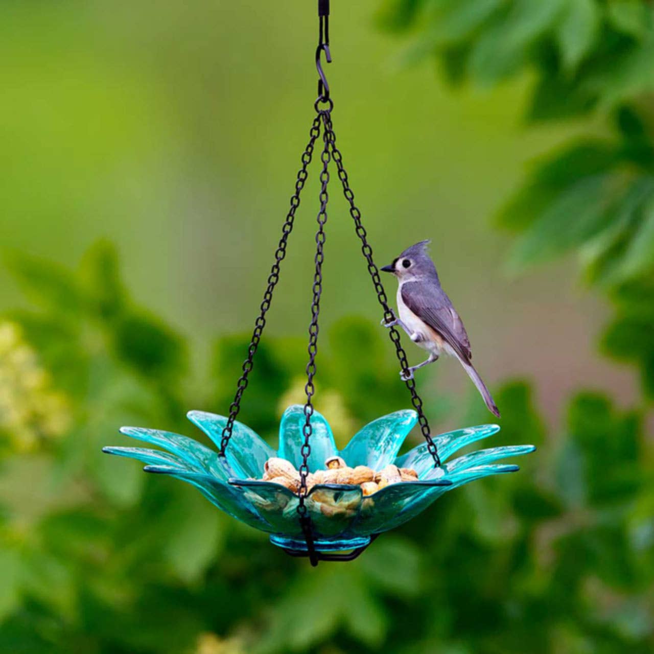 Mosaic Birds Daisy Petite Bird Feeder Aqua