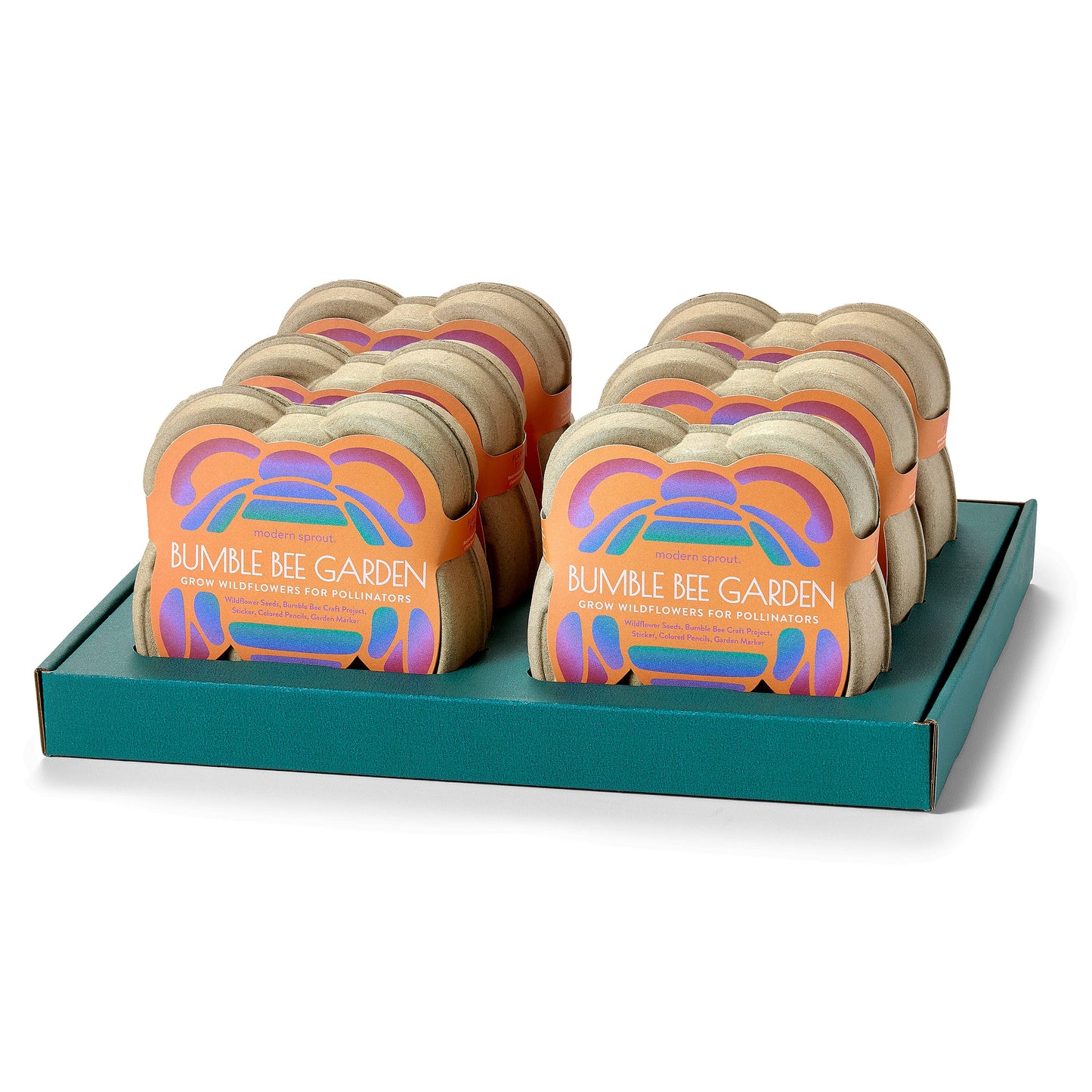 Curious Critters Lady Bug Activity Kit