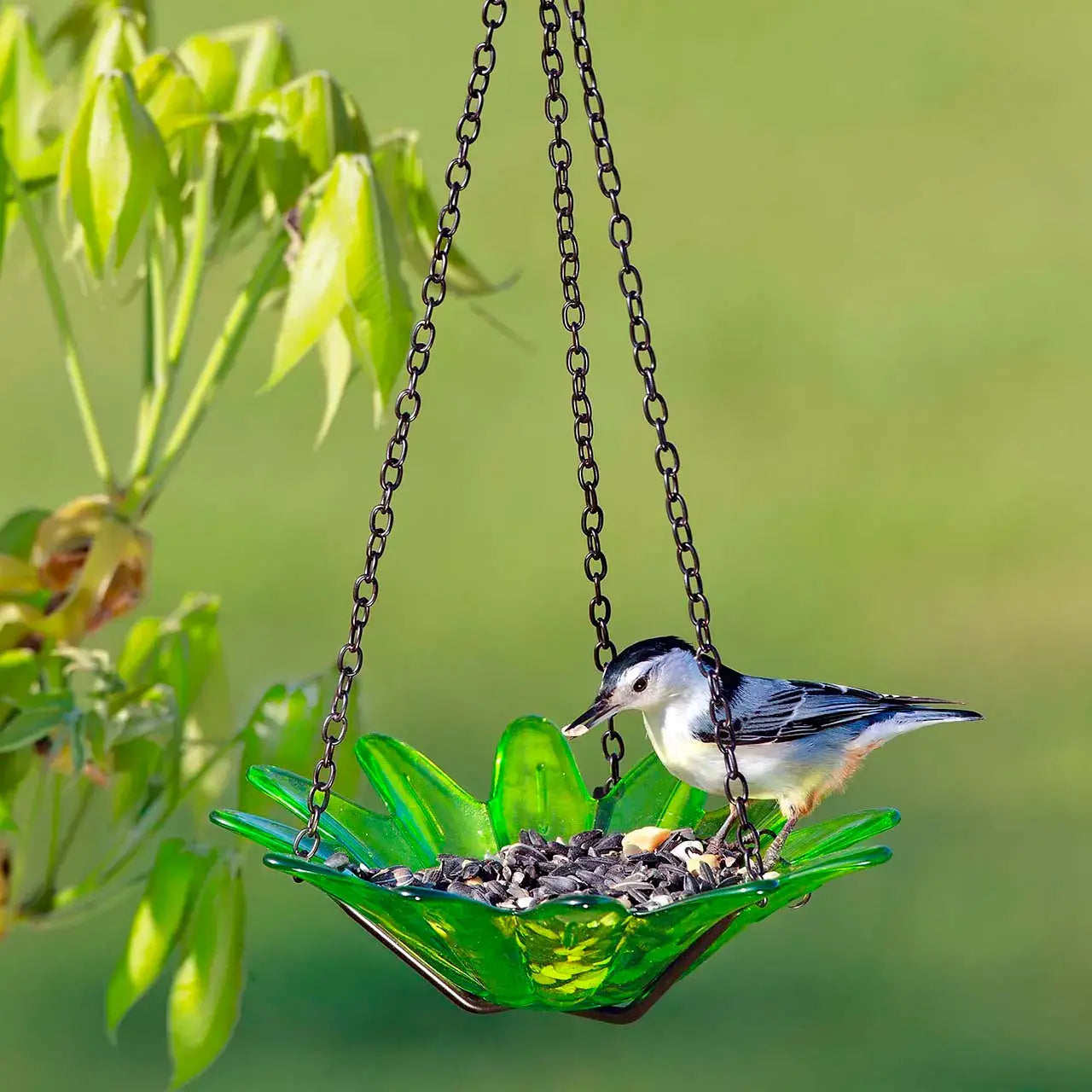 Mosaic Birds Daisy Petite Bird Feeder Lime