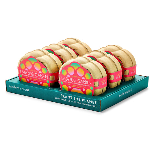 Curious Critters Lady Bug Activity Kit