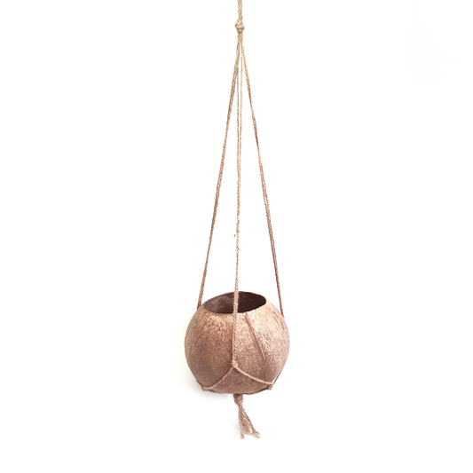 Hanging Single Coconut Planter