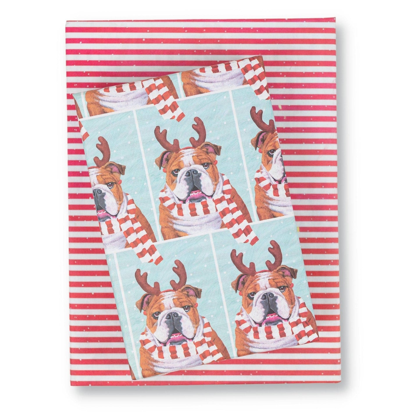 Cozy Bulldog Wrapping Paper